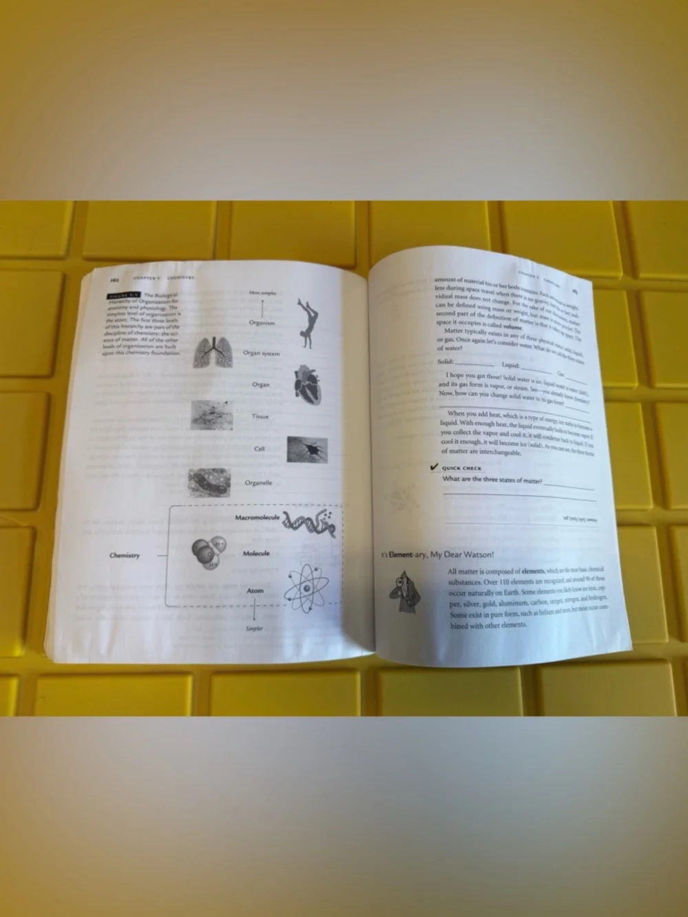 Get Ready for A&P Study Guide - Picture 5 of 5